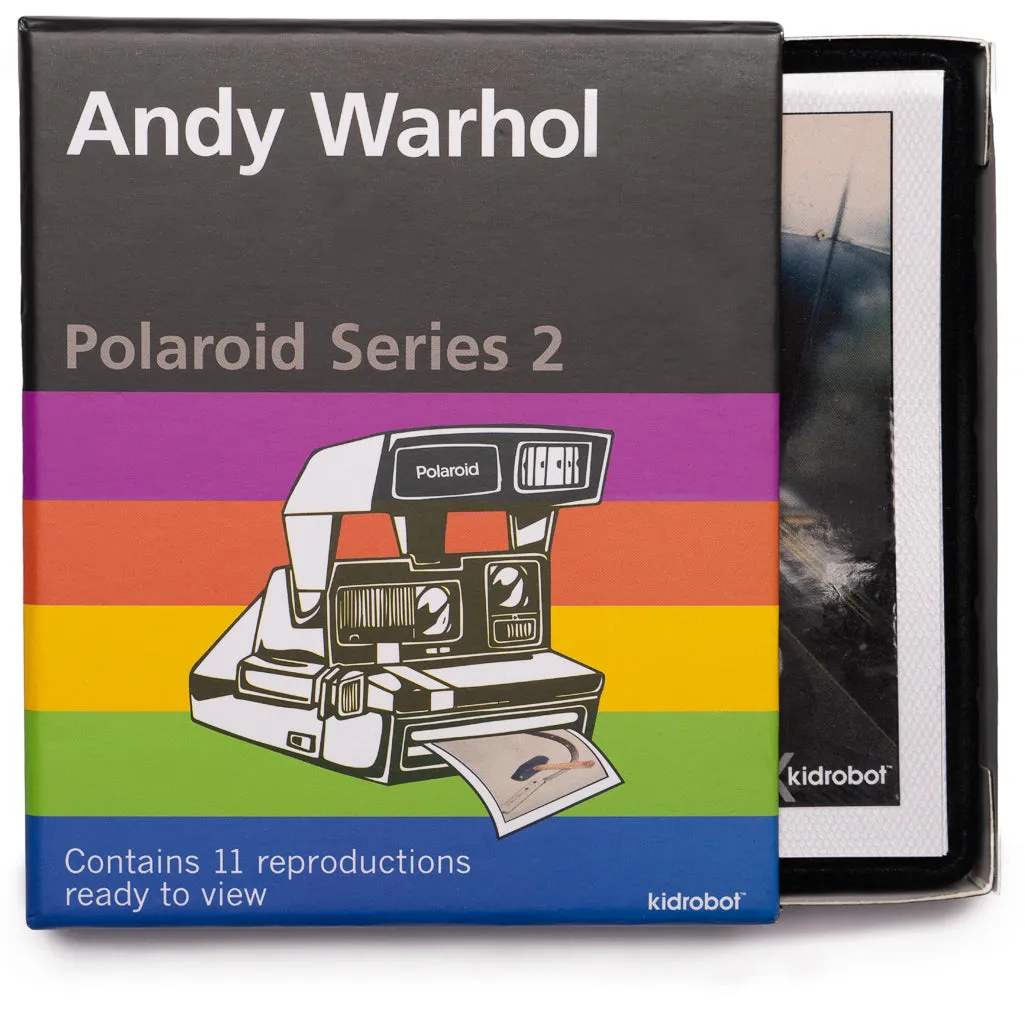 Kidrobot Andy Warhol - Polaroid Series 2