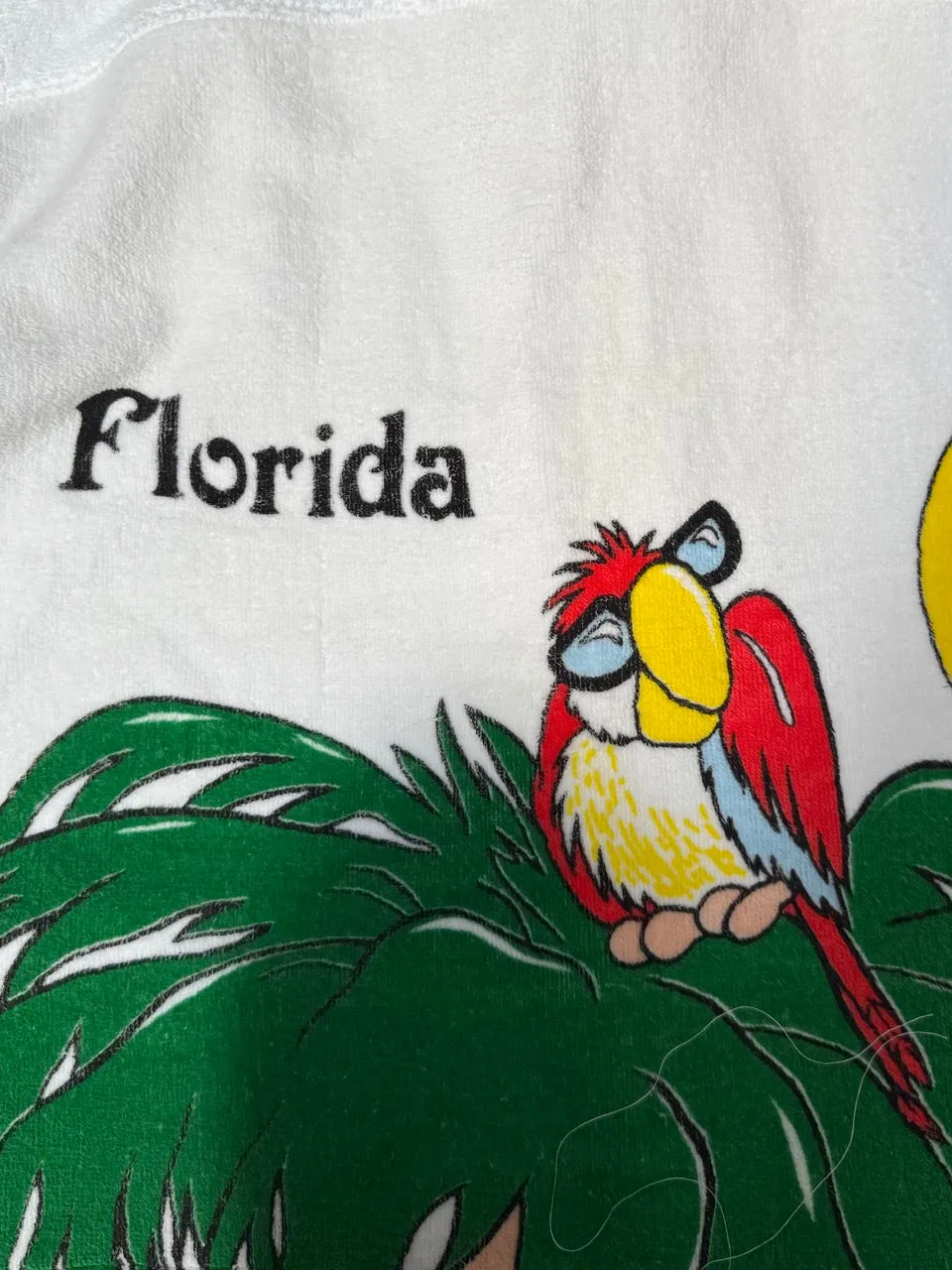VT Rework: Disney World Floria Towel Shirt